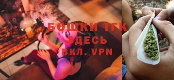 сатива Богданович