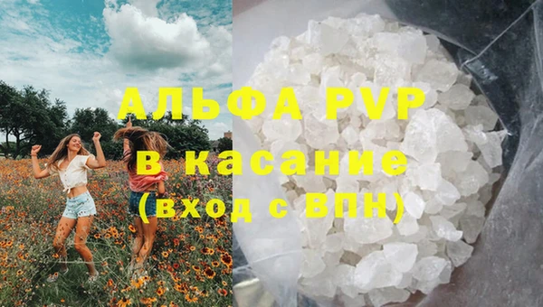 сатива Богданович