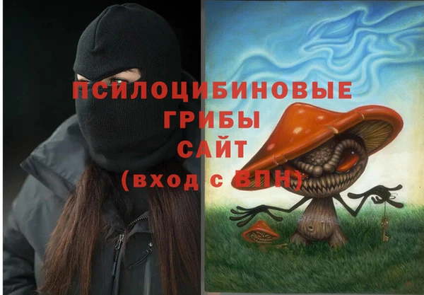 ешки Белокуриха