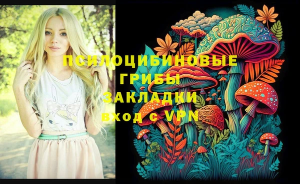 mdma Богородицк