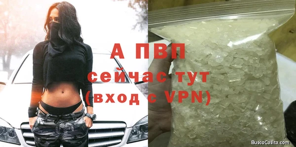ешки Белокуриха