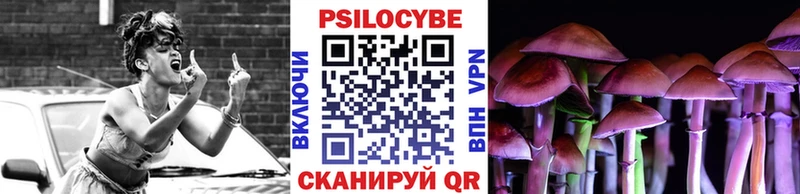 купить наркотики цена  Бирюсинск  Галлюциногенные грибы MAGIC MUSHROOMS 
